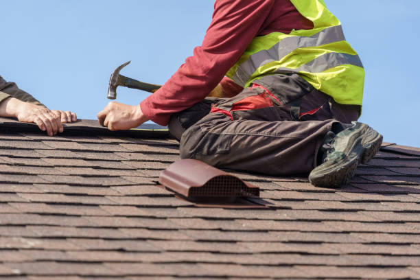 Best Emergency Roof Repair  in Albion, IL