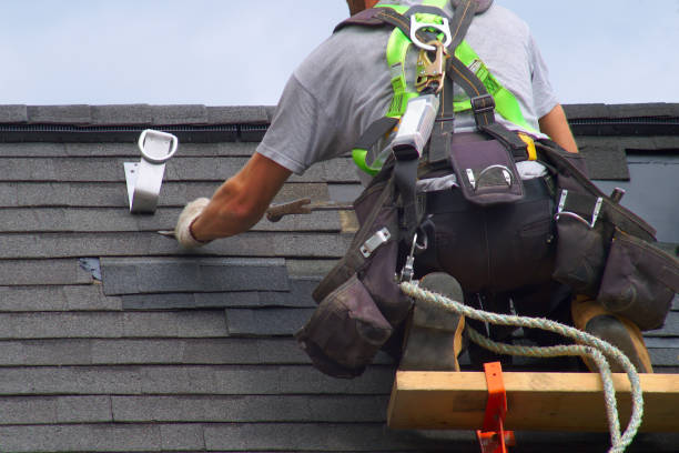 Best Gutter Installation and Roofing  in Albion, IL