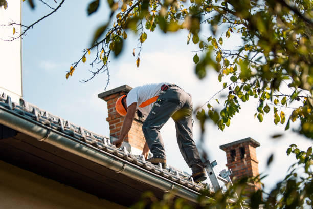 Best Roof Replacement Cost  in Albion, IL