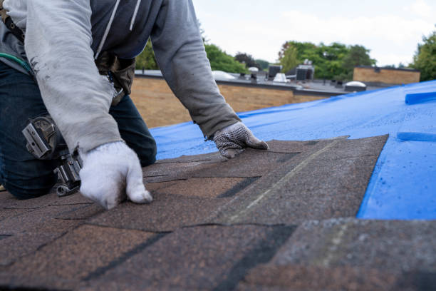 Best Residential Roofing Contractor  in Albion, IL