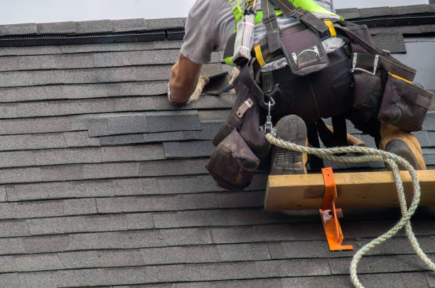 Best Residential Roofing Contractor  in Albion, IL