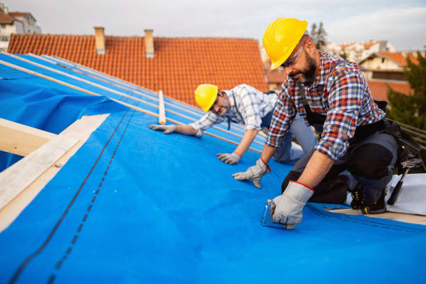 Professional Roofing Contractor in Albion, IL