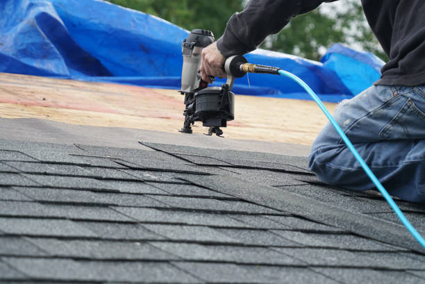 Best Roof Maintenance Services  in Albion, IL