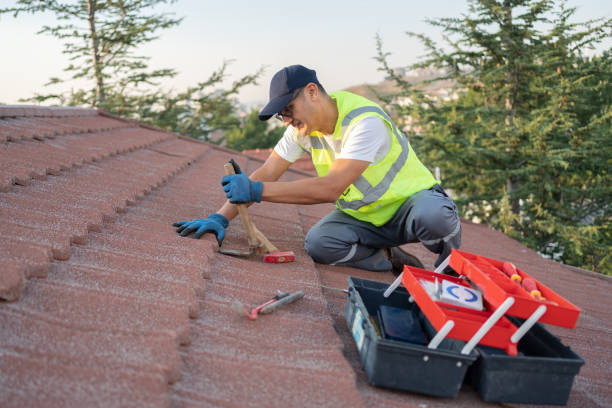 Best Slate Roofing Contractor  in Albion, IL