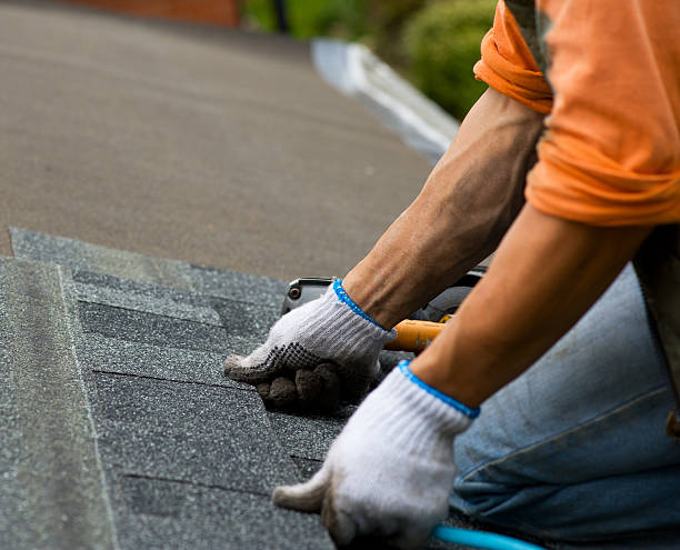 Best Commercial Roofing Services  in Albion, IL