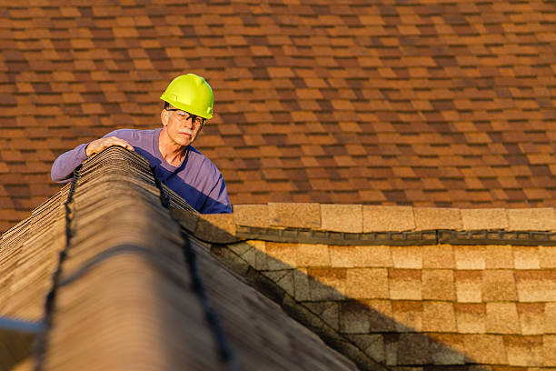 Best Roof Restoration Services  in Albion, IL