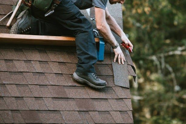 Best Roof Repair Services  in Albion, IL