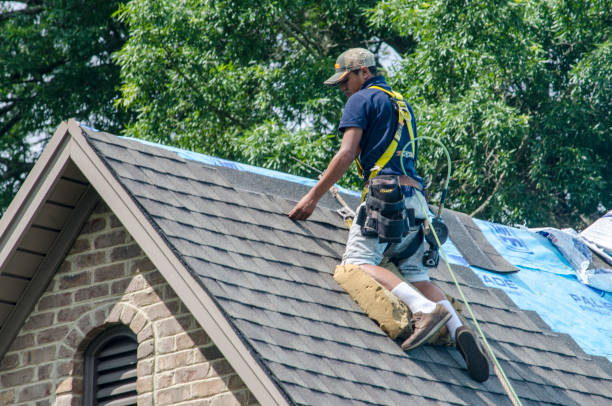 Best Roof Leak Repair  in Albion, IL
